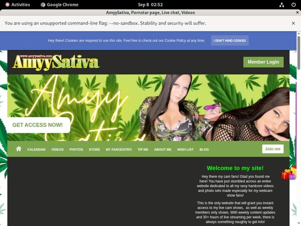 Amyysativa.com Org