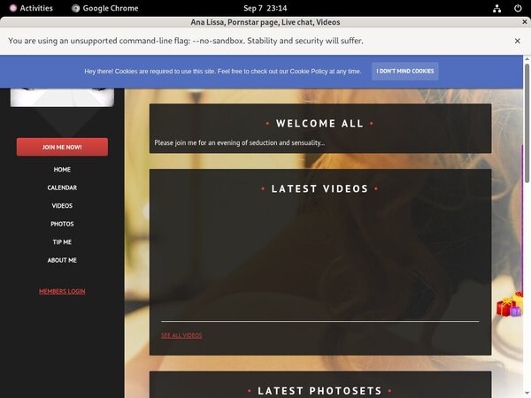 Analissa.modelcentro.com Com Logins