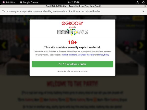 Brazil TGirls XXX Account Passwords