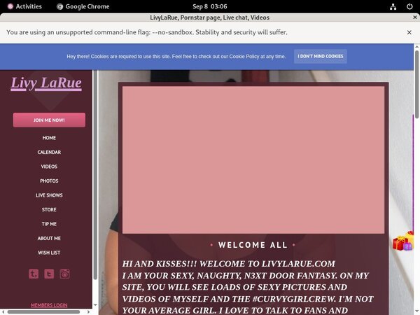 Free Livylarue.modelcentro.com User And Pass