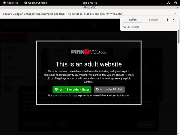 Free Logins For Pinkovod