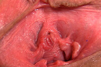 Gape My Pussy Buy Credit s3