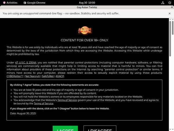 Gayasiantwinkz.com Account Blog