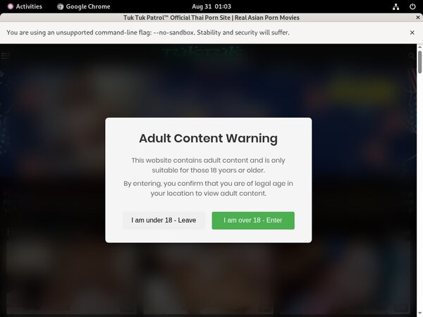 Get Free Tuk Tuk Patrol Logins