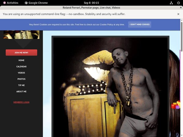 Get Rolandferrari.modelcentro.com Free Login