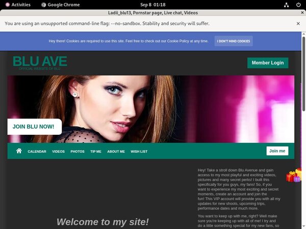 Ladiiblu13.modelcentro.com Pago