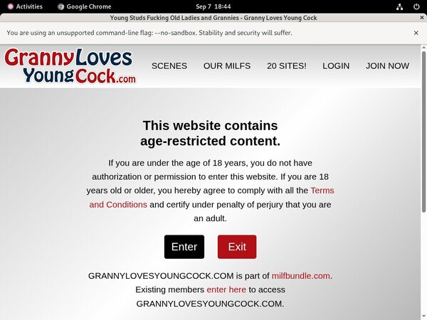 Logins Granny Loves Young Cock Free