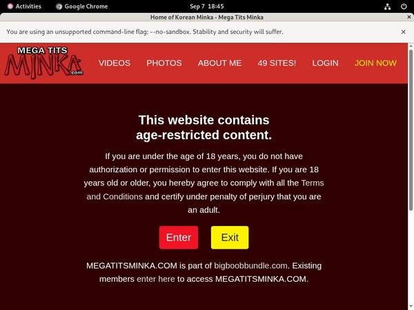 Megatitsminka.com One Year