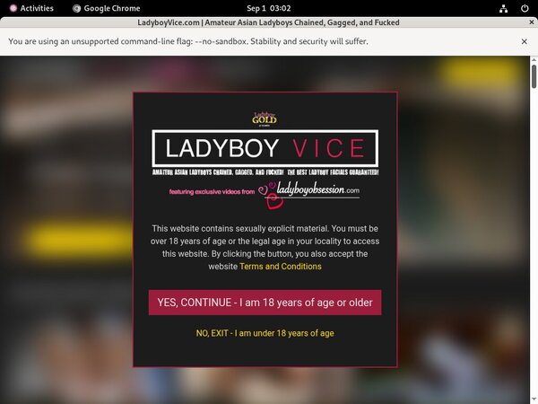 New Ladyboy Vice Passwords