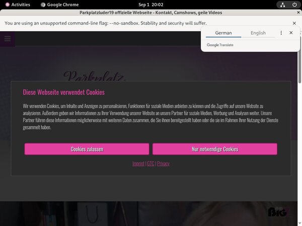 Parkplatzluder19 Nude Pictures