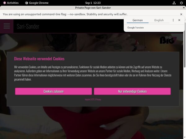 Sari-sander.com Toilet