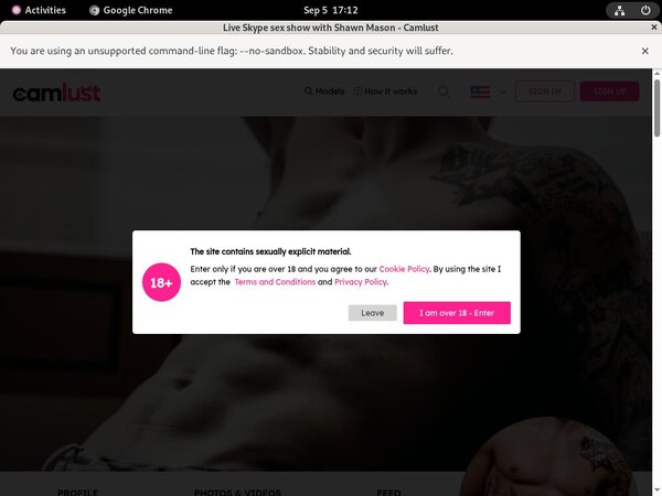 Shawn Mason Passwords Accounts