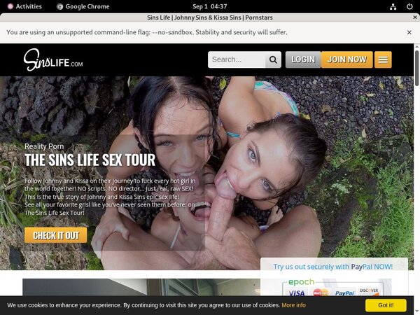Sinslife Account 2014