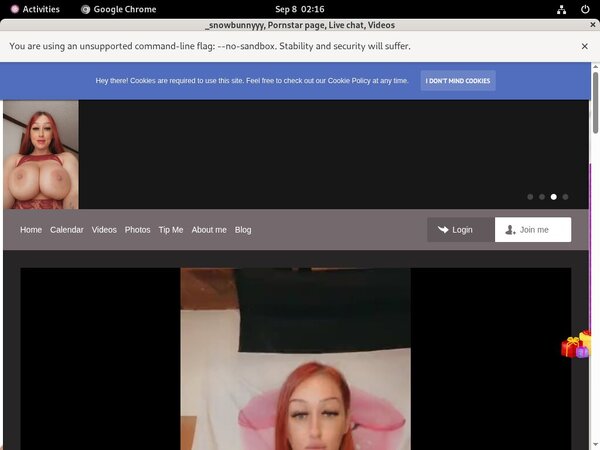 Snowbunnyy.com Pass Premium