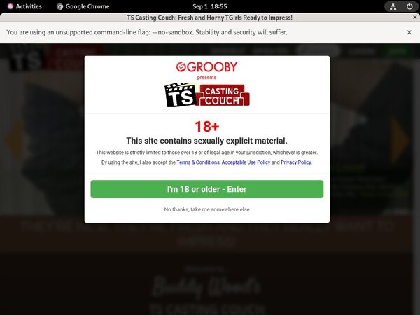 Tscastingcouch Website