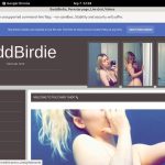 Use Paypal BaddBirdie