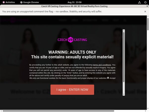 Username And Password For Czechvrcasting.com