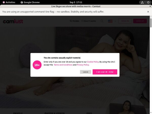 Using Paypal Melisa Morris