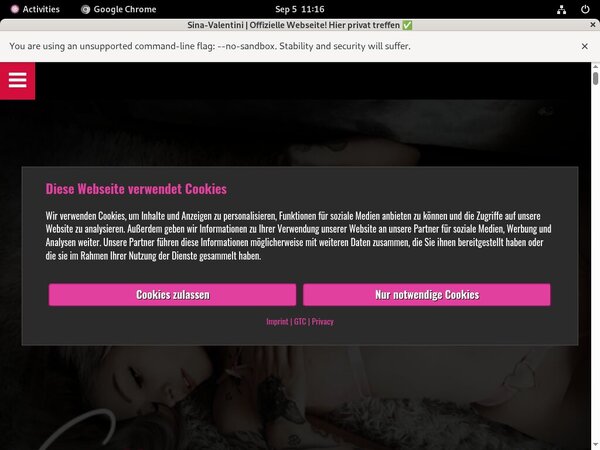 Valentini Sina Access