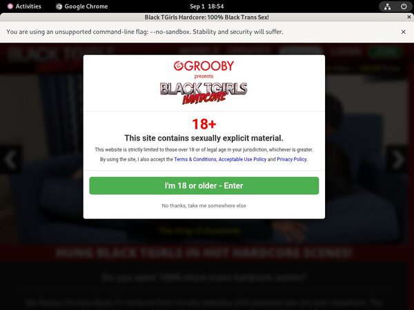 Blacktgirlshardcore.com Hd Free