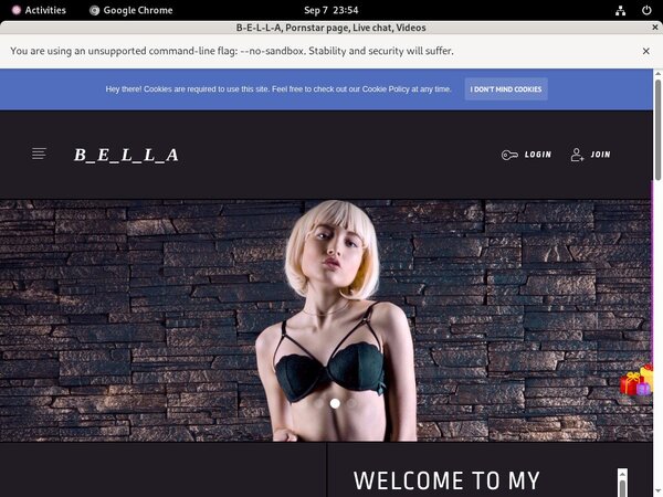 How To Get On B-e-l-l-a.modelcentro.com For Free