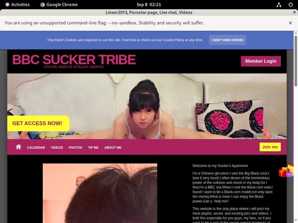 Linxer2013.modelcentro.com Women