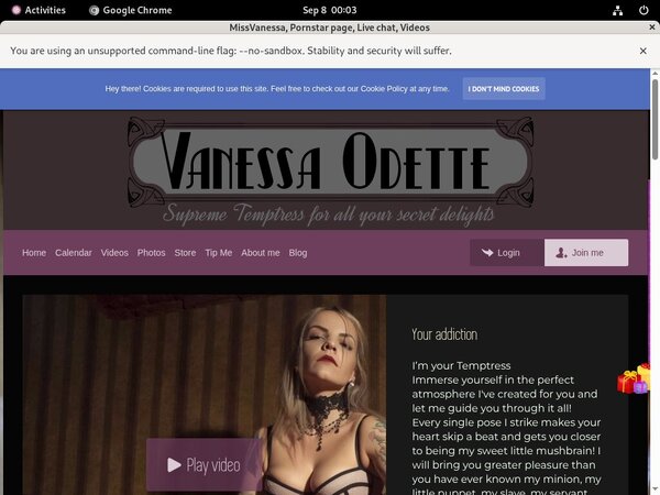 Missvanessa.modelcentro.com Discount Setup