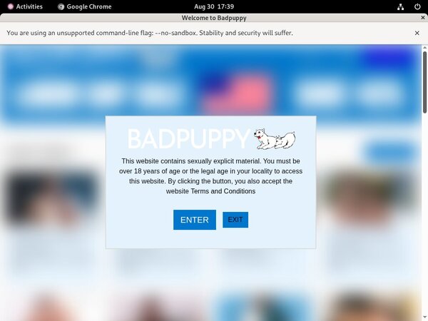 Badpuppy.com Accounta