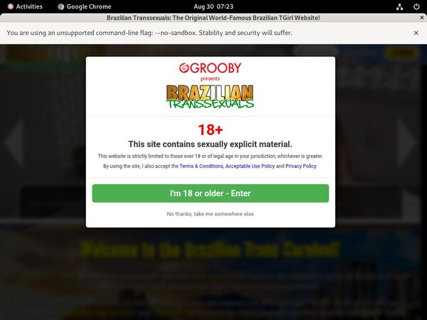 Brazilian Transsexuals Registration Form