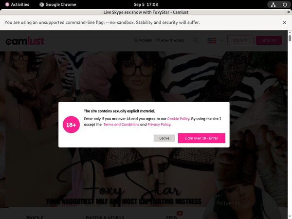 Camlust.com Password Blog
