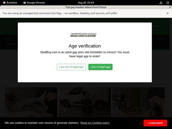 Free Sketboy.com Login And Pass