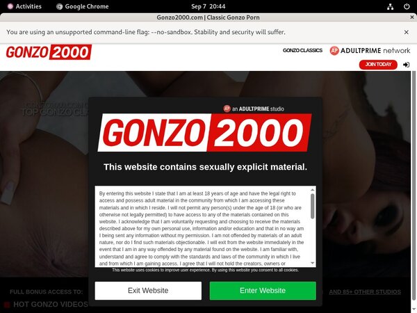 Freies Gonzo 2000