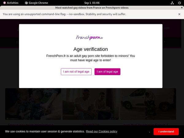 Frenchporn.fr Direct Pay