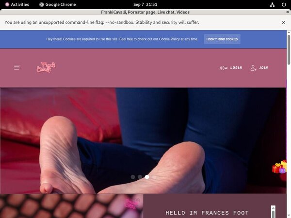Get Frances.modelcentro.com Free Login