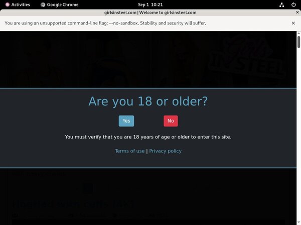 Girlsinsteel Paysite Discounts