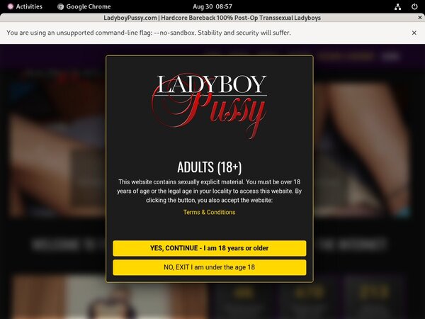 Ladyboypussy.com Trial