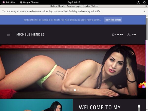 Michelemendez.modelcentro.com Free Download