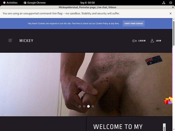 Mickeyelderstud.modelcentro.com Passwords Blog Mickeyelderstud.modelcentro.com Passwords Blog