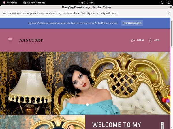 Nancysky.modelcentro.com Password Info