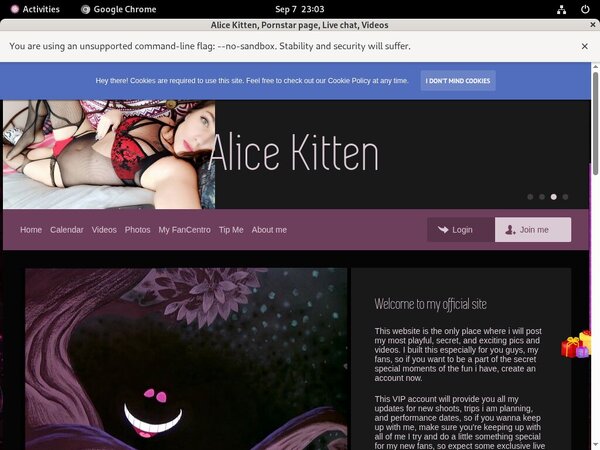 Offer Alicekitten.modelcentro.com