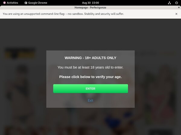 Perfectgonzo Website Password