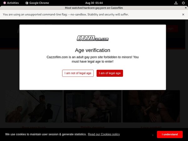 Premium Cazzo.fr Passwords