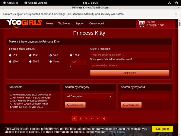 Princess Kitty Website Password Princess Kitty Website Password