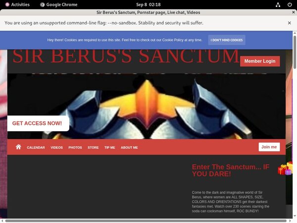SirBerus'sSanctum Account Share
