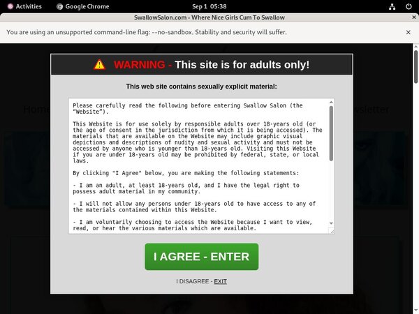 Swallow Salon Paysite