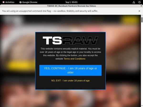 TS Raw Segpay Discount