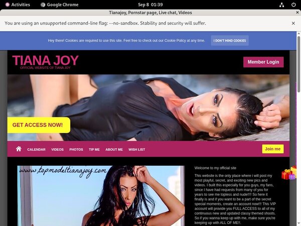 Tianajoy.modelcentro.com ??