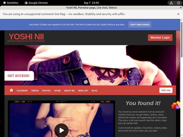 Yoshiwaraniisan.modelcentro.com Deal