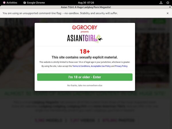 Ladyboy Ladyboy Site Review