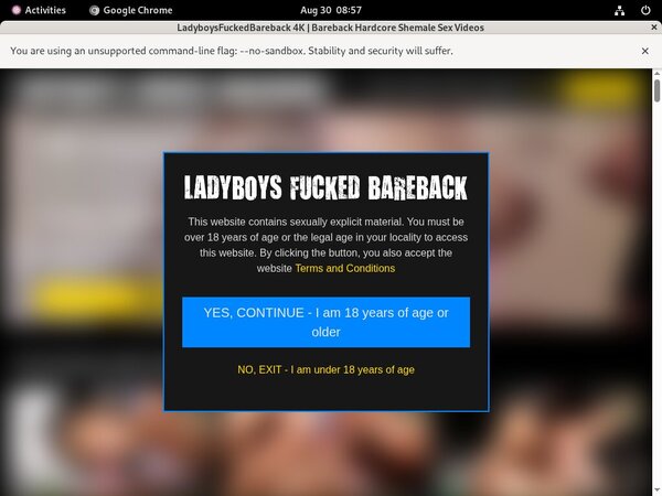 Ladyboys Fucked Bareback Pic